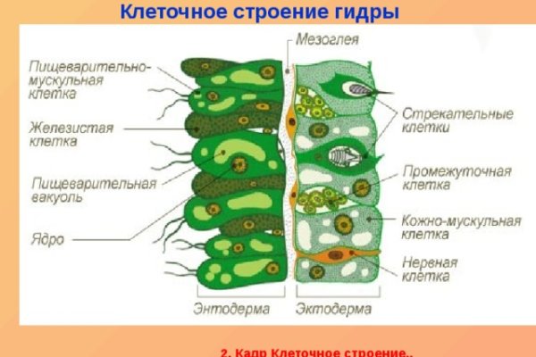 Зеркало на кракен