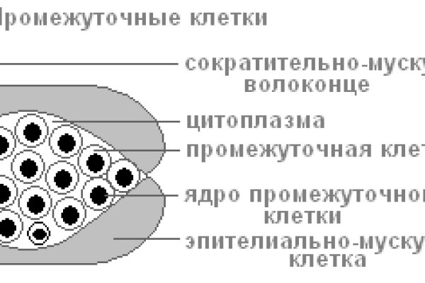 Регистрация на кракен