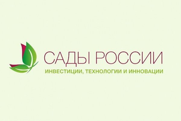Кракен через тор