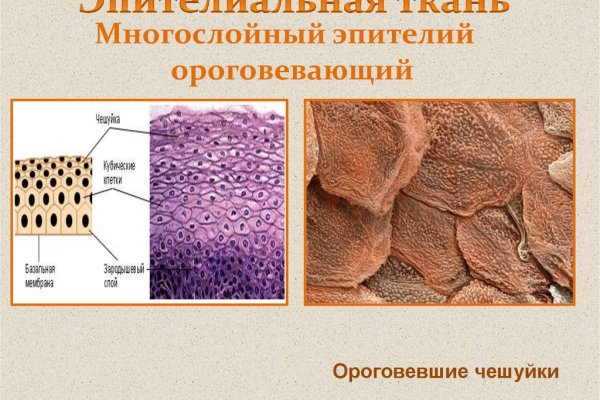 Кракен актуальная ссылка тор